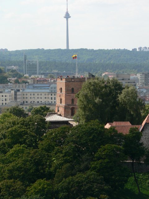 Вежа Гедиміна, Литва